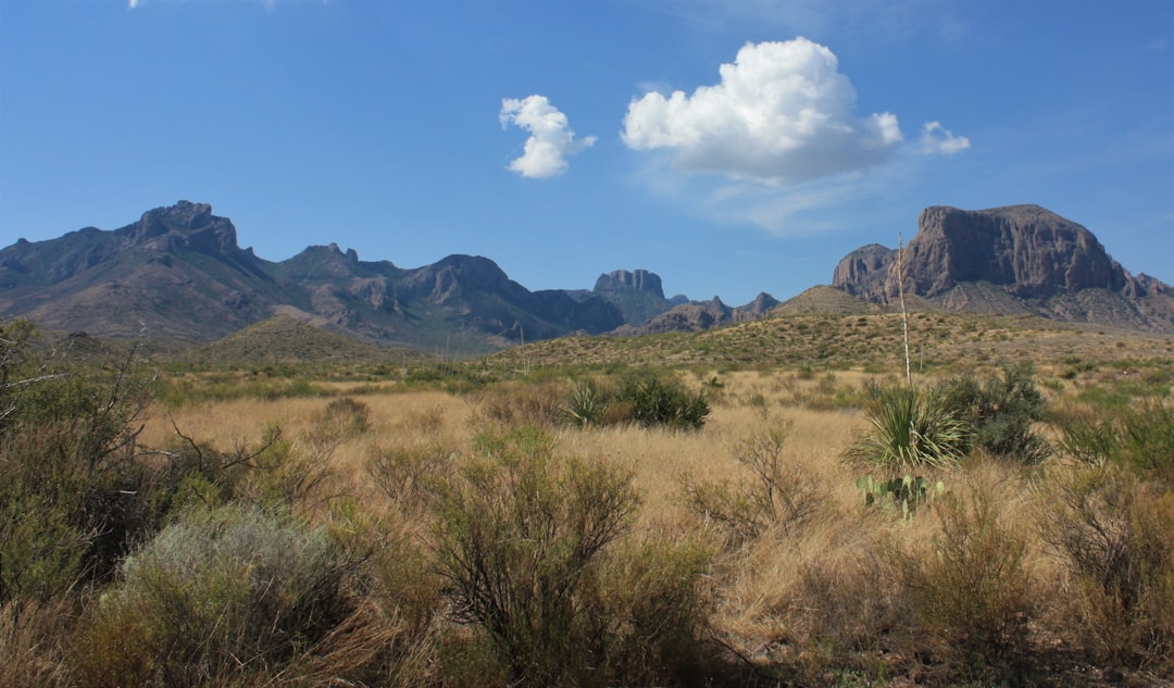 FAQs 5215ed81-1df2-464b-a130-dce51fb22511.jpg